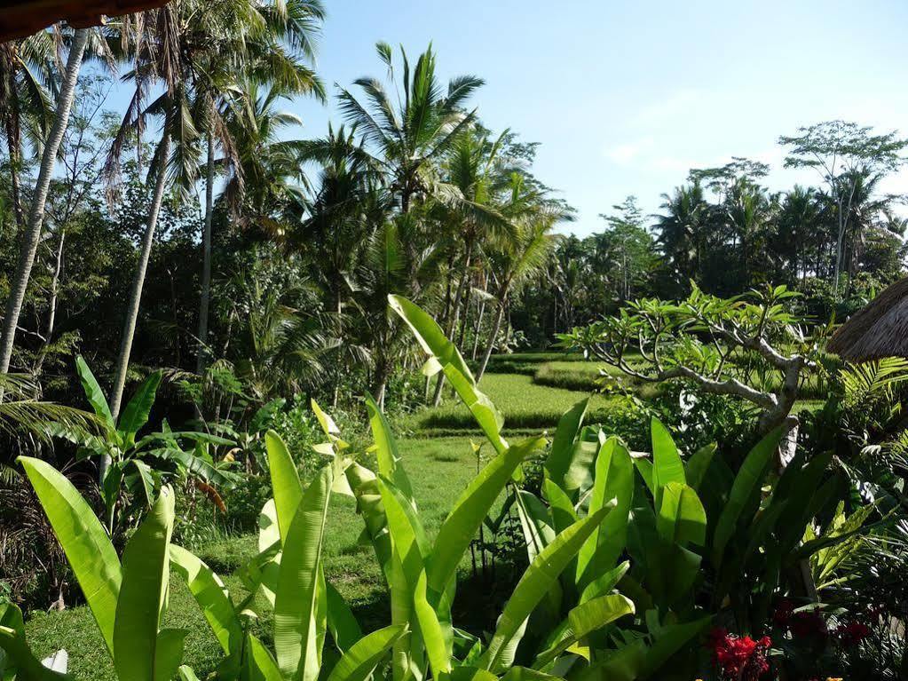 Umajati Retreat Villa Ubud Buitenkant foto