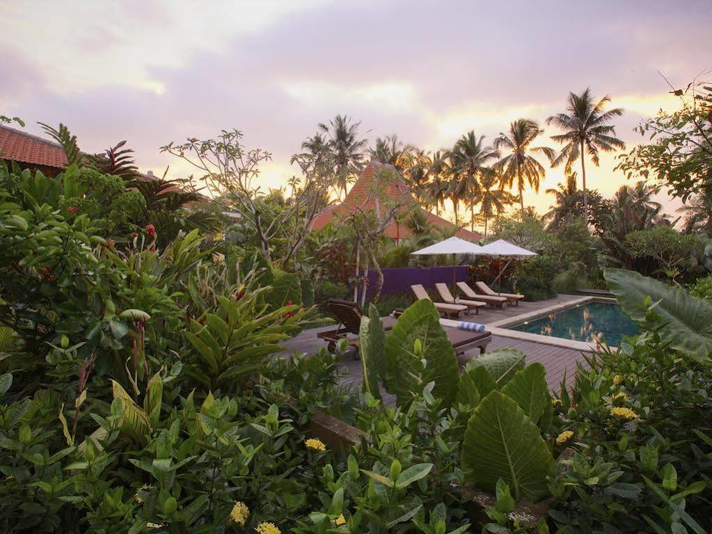 Umajati Retreat Villa Ubud Buitenkant foto